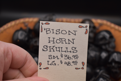 Bison Horn Skulls
